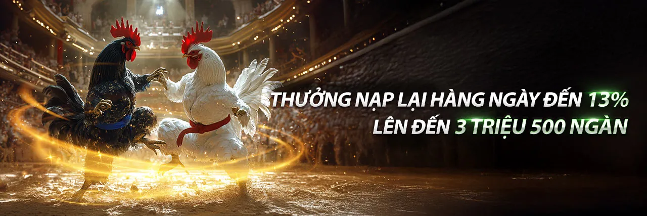 Sân vận động bóng đá với giao diện cá cược trực tuyến của MCW